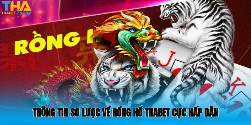 Thông tin sơ lược về Rồng Hổ Thabet cực hấp dẫn tại nhà cái