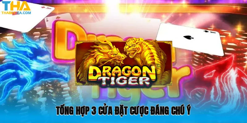 Tổng hợp 3 cửa đặt cược đáng chú ý nhất trong game Dragon Tiger